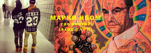 шишки Киренск