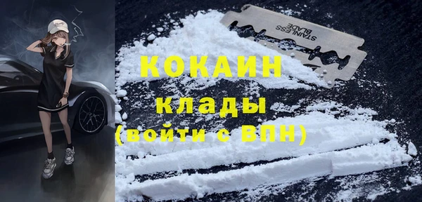 шишки Киренск