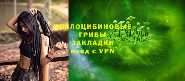 ALPHA PVP Кинешма