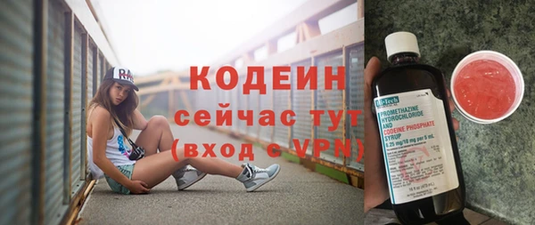 шишки Киренск