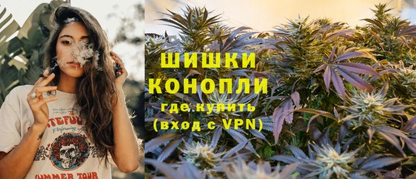 шишки Киренск