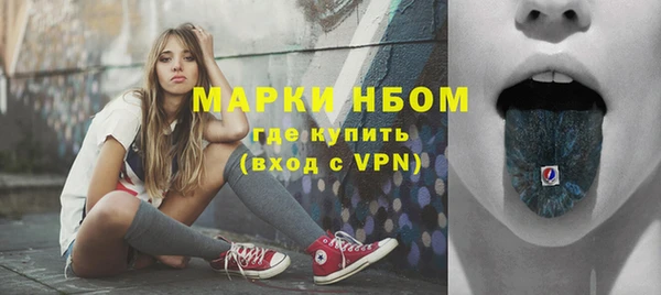 шишки Киренск