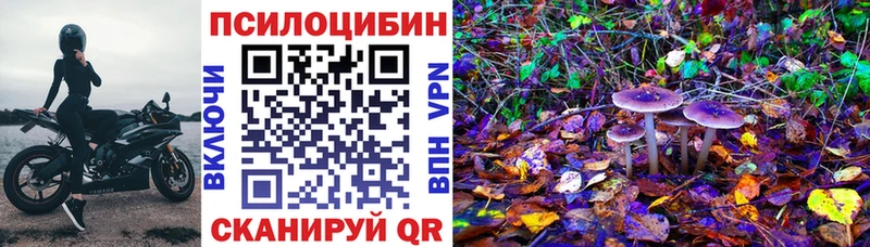 Купить где  Дятьково  Псилоцибиновые грибы Psilocybine cubensis 